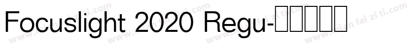 Focuslight 2020 Regu字体转换